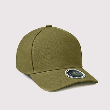 Tahoma 2 Panel Cap